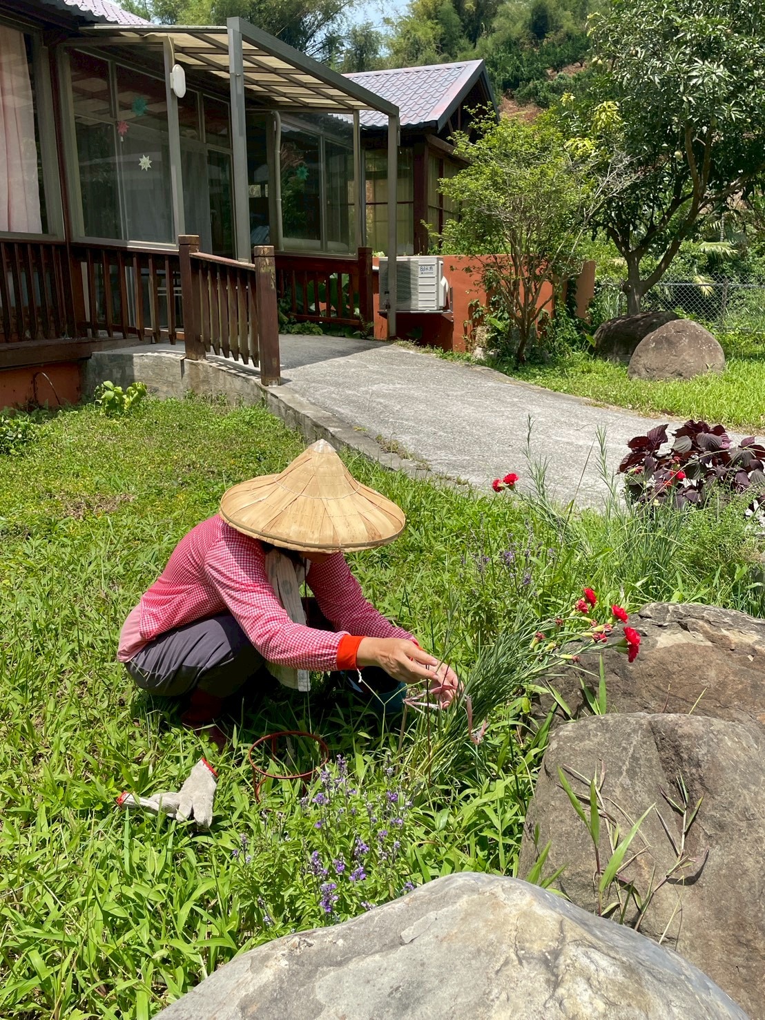 LINE_ALBUM_2026晨光的蜜蜂日常_260617_4